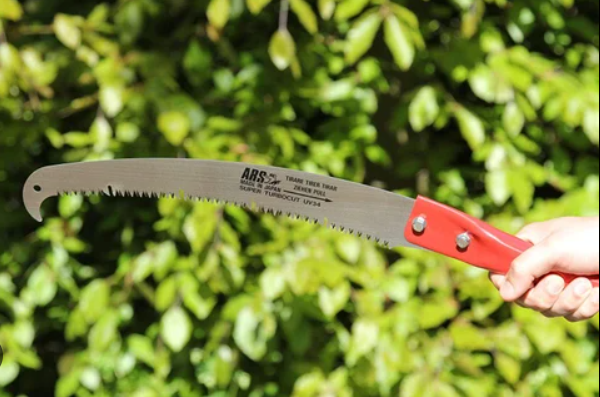 Best Extendable Tree Pruners to Get Your Yard Ready for Fall